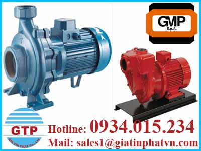 self-priming-electric-pumps-gmp-g3tmk-a-in-viet-nam-1